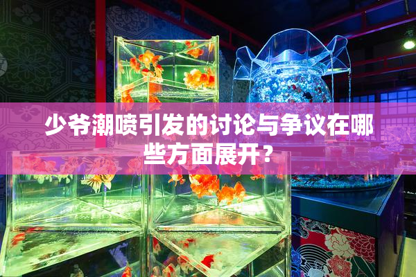 少爷潮喷引发的讨论与争议在哪些方面展开？
