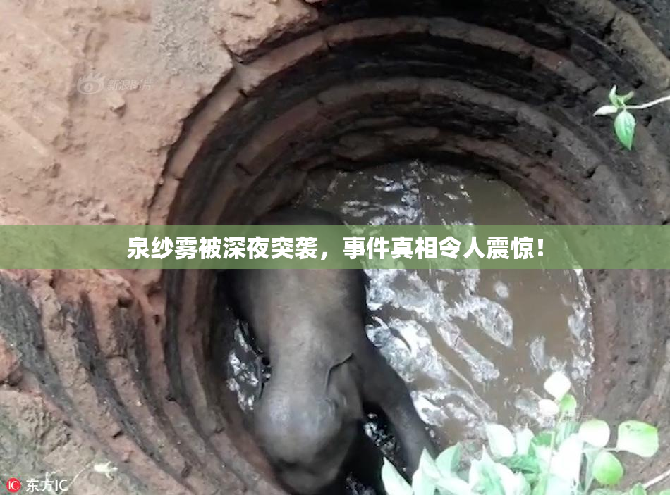 泉纱雾被深夜突袭，事件真相令人震惊！