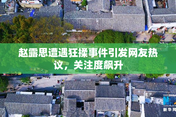 赵露思遭遇狂揉事件引发网友热议，关注度飙升