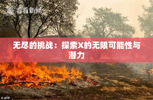 无尽的挑战：探索X的无限可能性与潜力