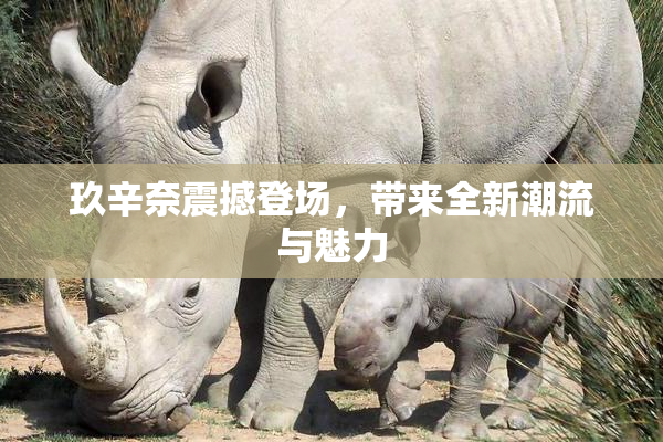 玖辛奈震撼登场，带来全新潮流与魅力