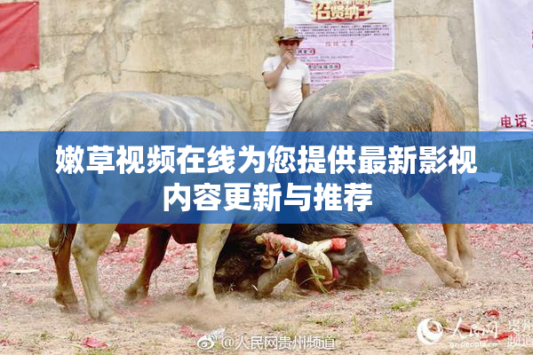 嫩草视频在线为您提供最新影视内容更新与推荐