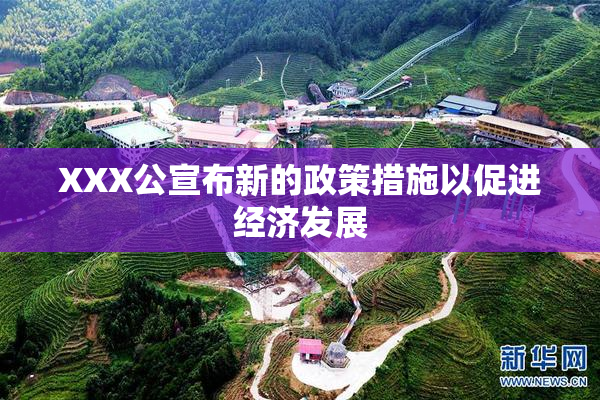 XXX公宣布新的政策措施以促进经济发展