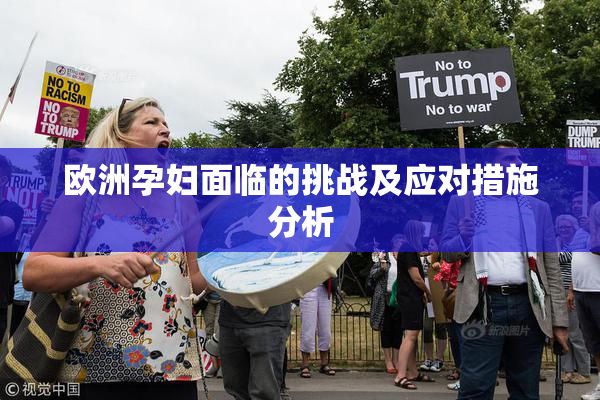 欧洲孕妇面临的挑战及应对措施分析