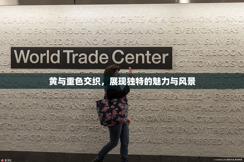 黄与重色交织，展现独特的魅力与风景