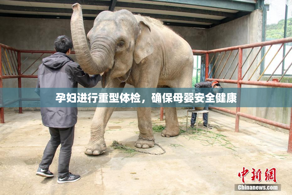 孕妇进行重型体检，确保母婴安全健康