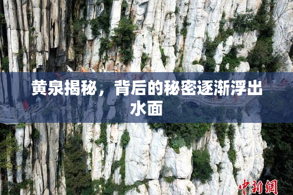 黄泉揭秘，背后的秘密逐渐浮出水面