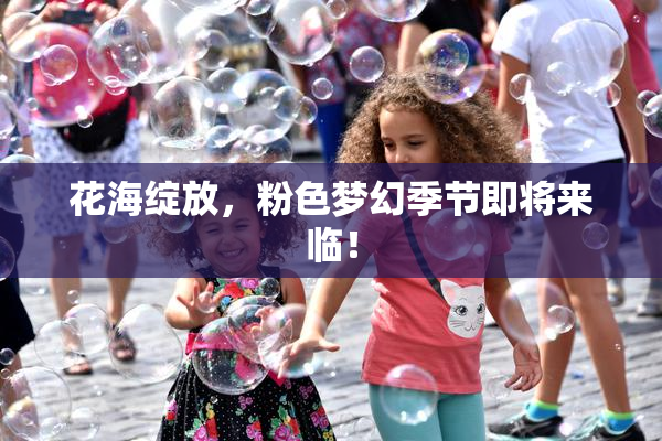 花海绽放，粉色梦幻季节即将来临！