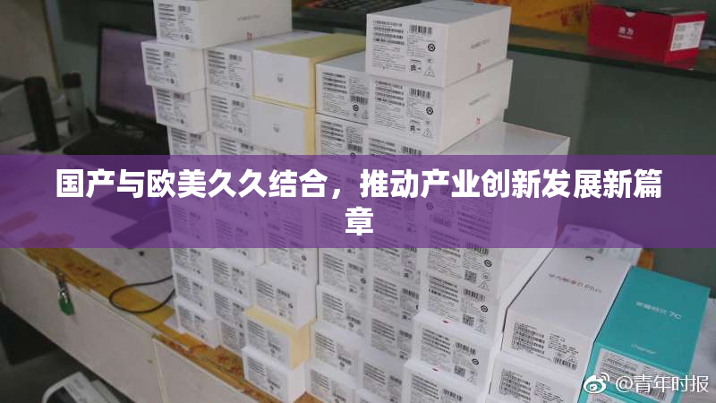 国产与欧美久久结合，推动产业创新发展新篇章