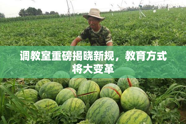 调教室重磅揭晓新规，教育方式将大变革