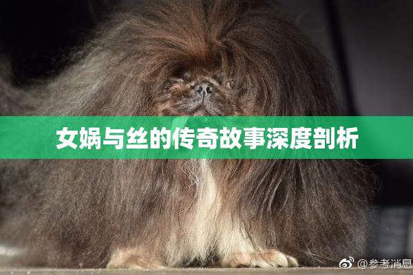 女娲与丝的传奇故事深度剖析
