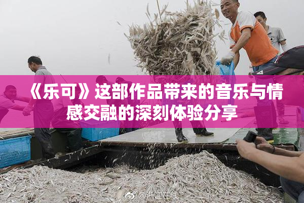 《乐可》这部作品带来的音乐与情感交融的深刻体验分享