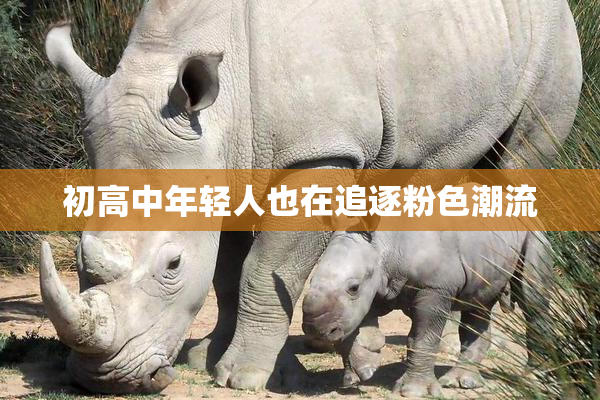 初高中年轻人也在追逐粉色潮流