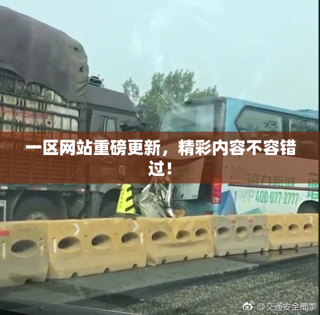 一区网站重磅更新，精彩内容不容错过！
