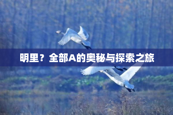 明里？全部A的奥秘与探索之旅