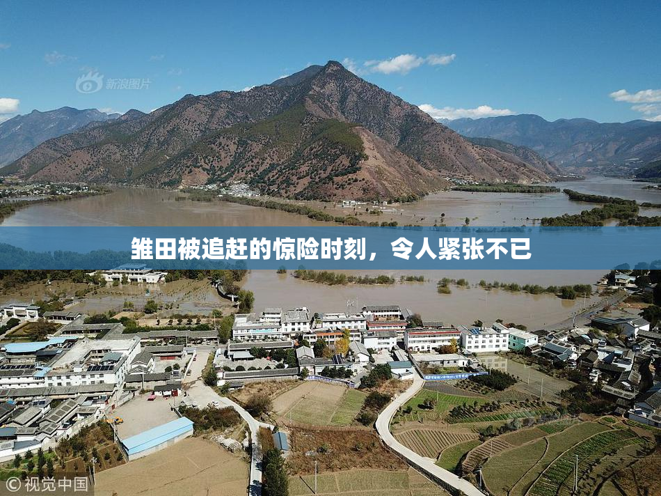雏田被追赶的惊险时刻，令人紧张不已