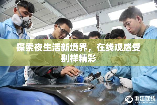 探索夜生活新境界，在线观感受别样精彩