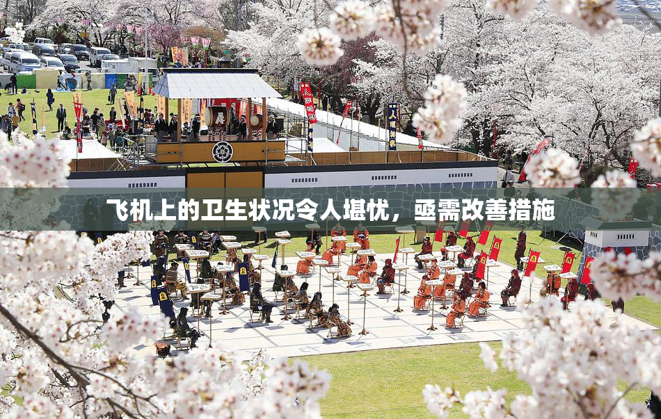 飞机上的卫生状况令人堪忧，亟需改善措施