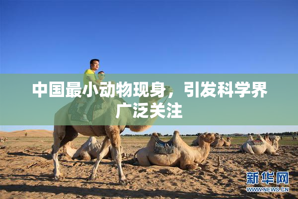 中国最小动物现身，引发科学界广泛关注
