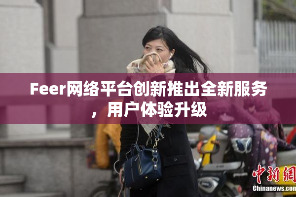 Feer网络平台创新推出全新服务，用户体验升级