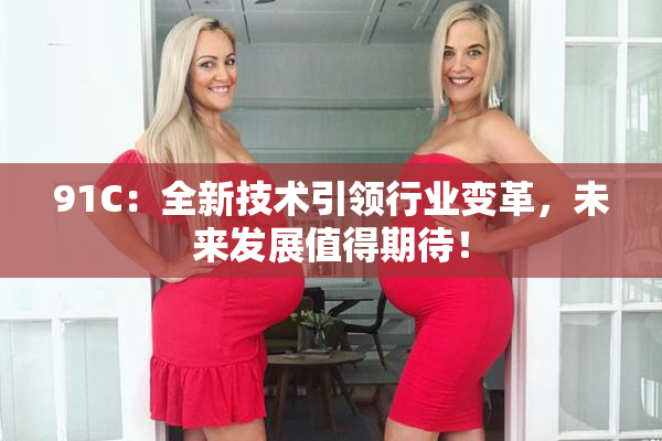 91C：全新技术引领行业变革，未来发展值得期待！