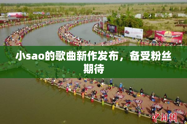 小sao的歌曲新作发布，备受粉丝期待