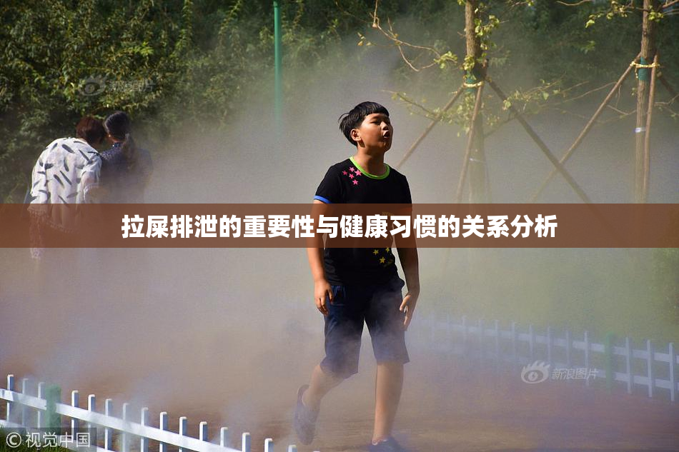 拉屎排泄的重要性与健康习惯的关系分析