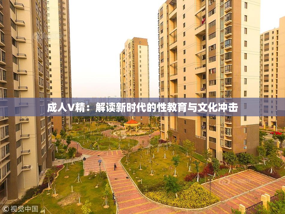 成人V精：解读新时代的性教育与文化冲击