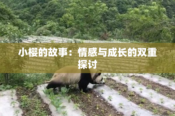 小樱的故事：情感与成长的双重探讨