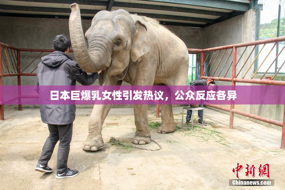日本巨爆乳女性引发热议，公众反应各异