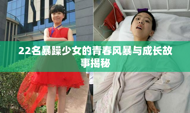 22名暴躁少女的青春风暴与成长故事揭秘