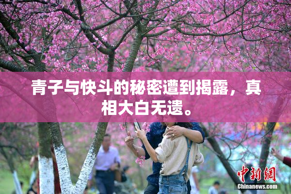 青子与快斗的秘密遭到揭露，真相大白无遗。