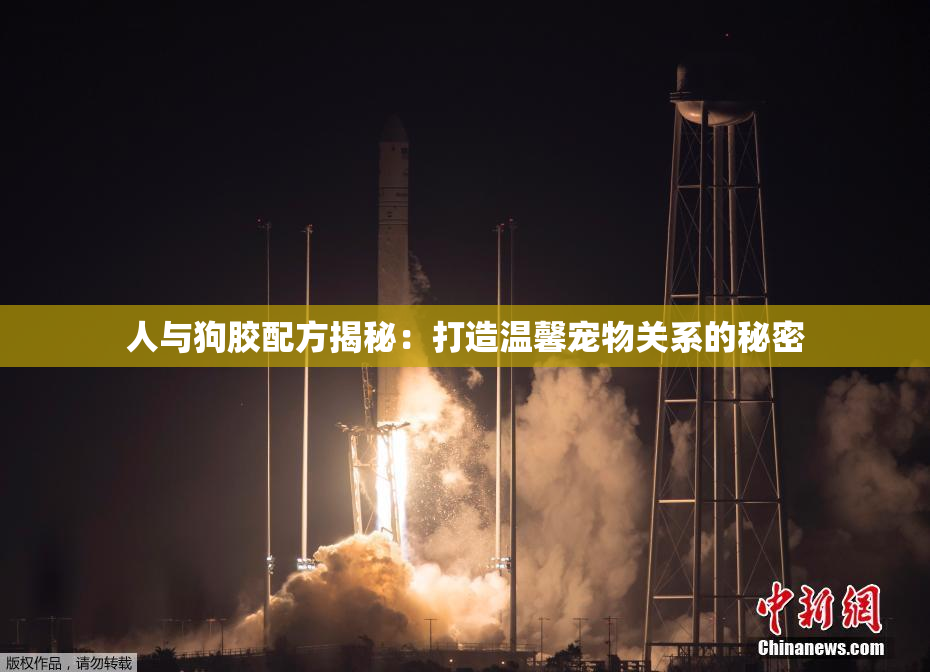 人与狗胶配方揭秘：打造温馨宠物关系的秘密