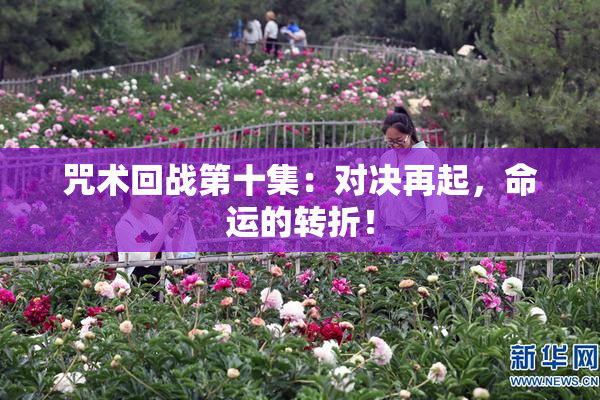 咒术回战第十集：对决再起，命运的转折！