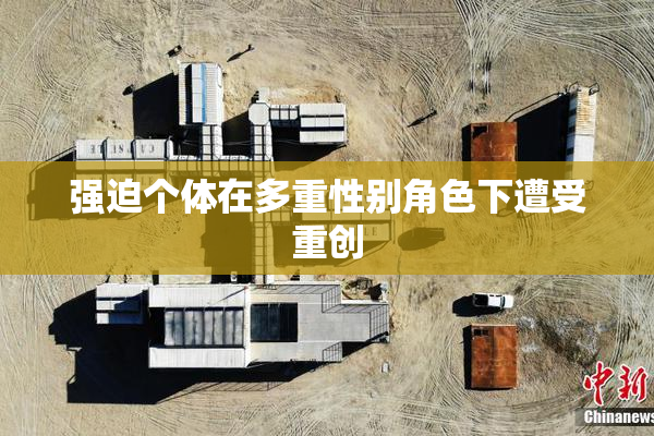 强迫个体在多重性别角色下遭受重创
