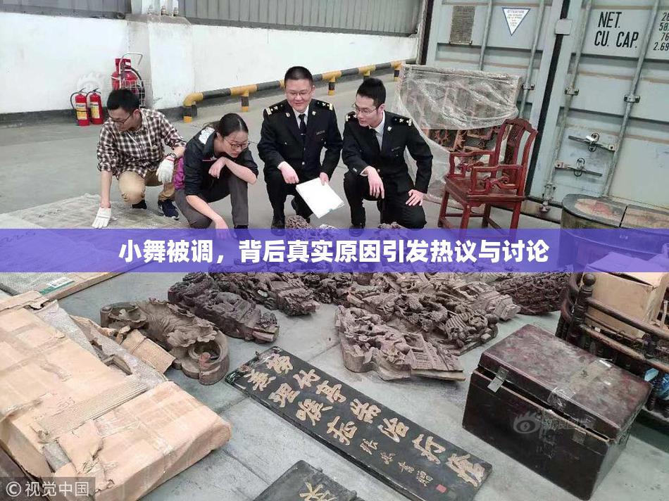 小舞被调，背后真实原因引发热议与讨论
