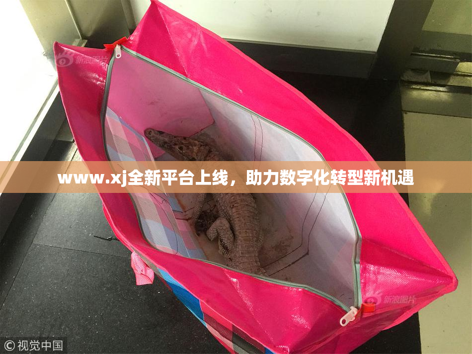 www.xj全新平台上线，助力数字化转型新机遇