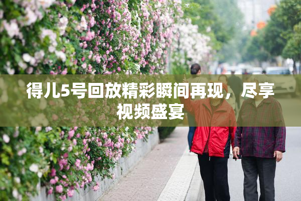 得儿5号回放精彩瞬间再现，尽享视频盛宴