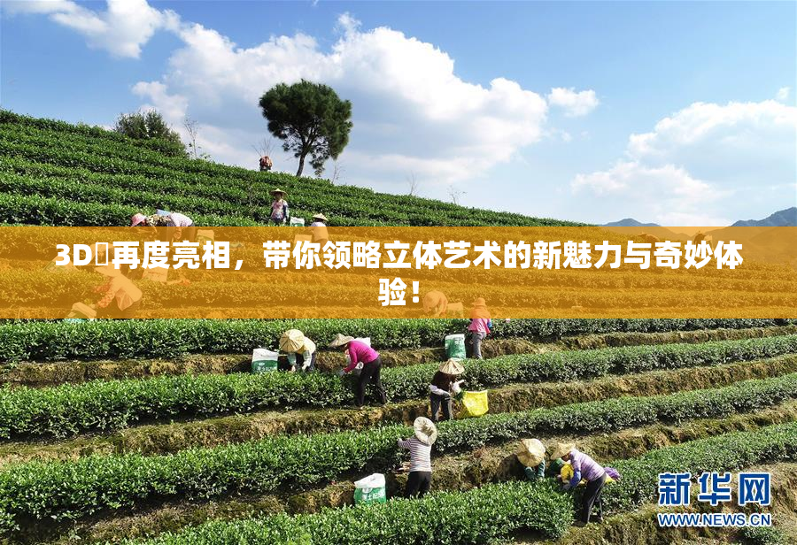 3D姉再度亮相，带你领略立体艺术的新魅力与奇妙体验！