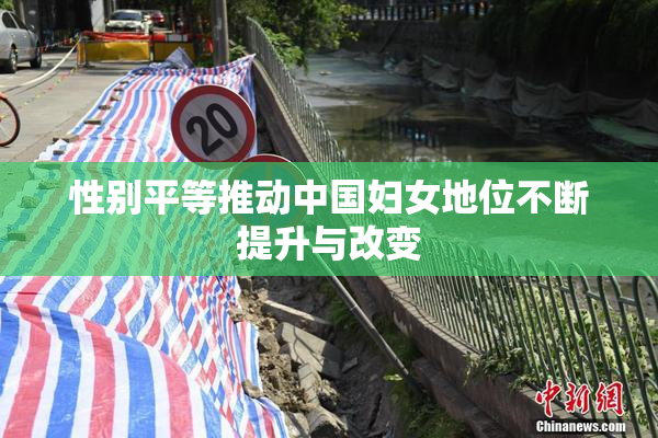 性别平等推动中国妇女地位不断提升与改变