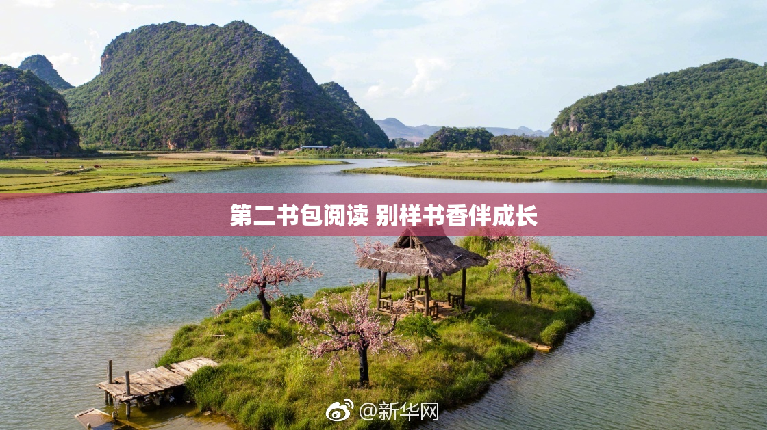 第二书包阅读 别样书香伴成长
