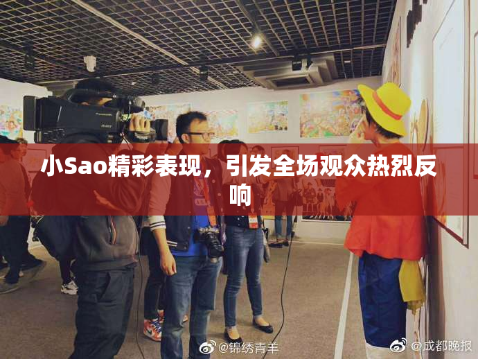 小Sao精彩表现，引发全场观众热烈反响