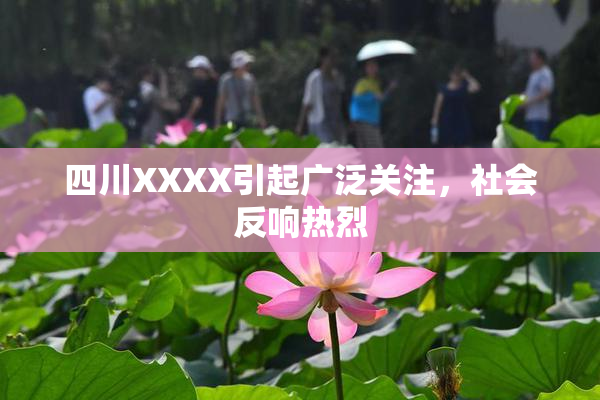 四川XXXX引起广泛关注，社会反响热烈