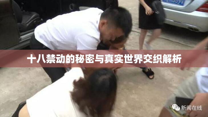 十八禁动的秘密与真实世界交织解析
