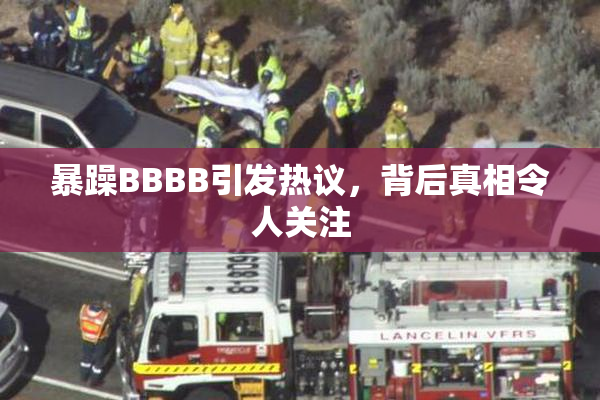 暴躁BBBB引发热议，背后真相令人关注