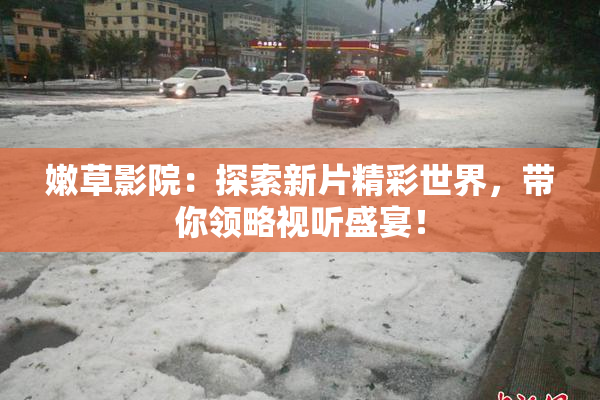 嫩草影院：探索新片精彩世界，带你领略视听盛宴！