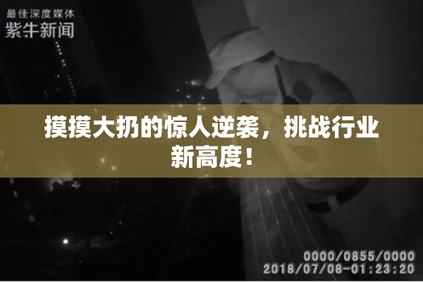 摸摸大扔的惊人逆袭，挑战行业新高度！