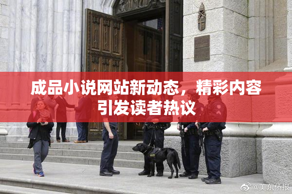 成品小说网站新动态，精彩内容引发读者热议