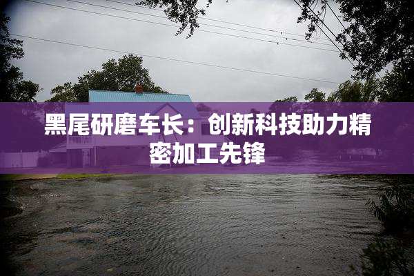 黑尾研磨车长：创新科技助力精密加工先锋