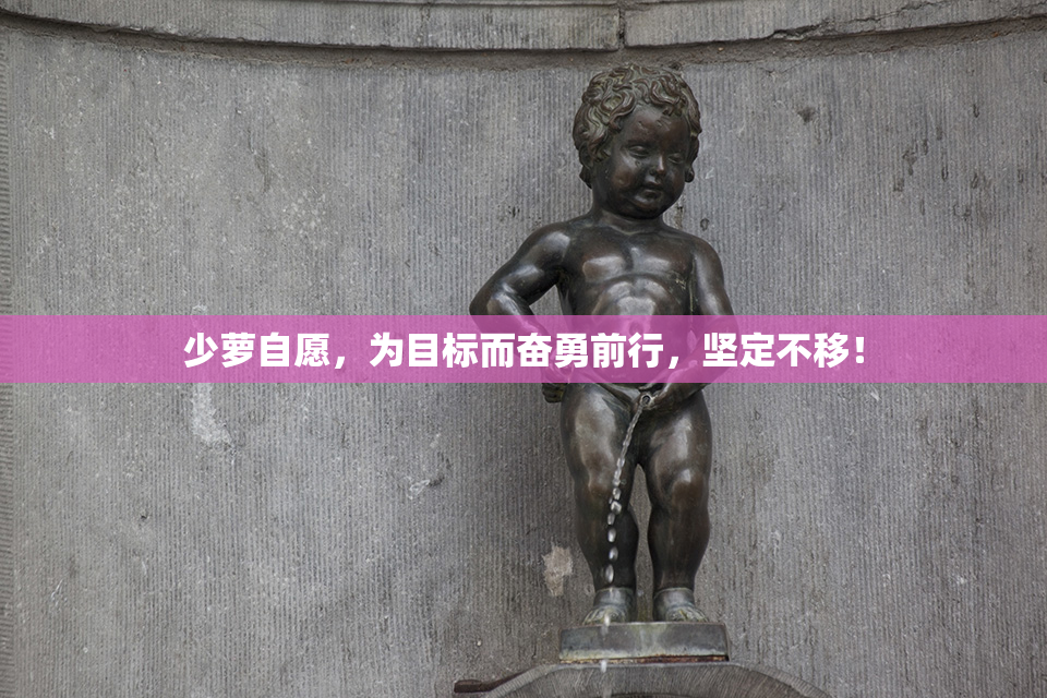 少萝自愿，为目标而奋勇前行，坚定不移！